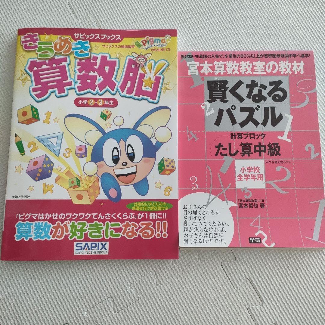 中身確認用 きらめき算数脳 小学2.3年生 サピックス ピグマ 宮本算数 賢くなる